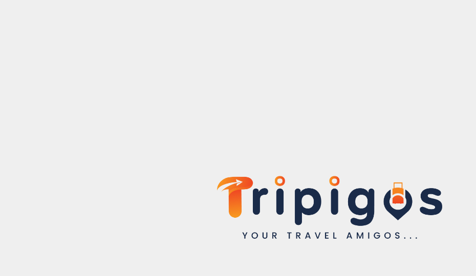 Travel Website